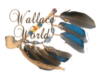 Welcome to 
Wallace World